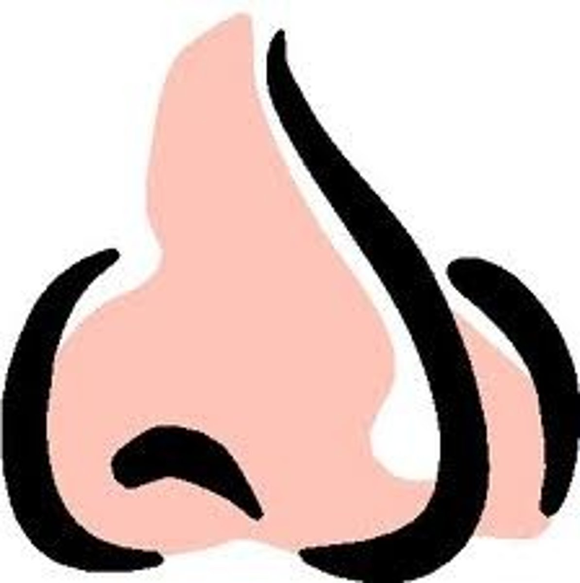 <p>nose</p>
