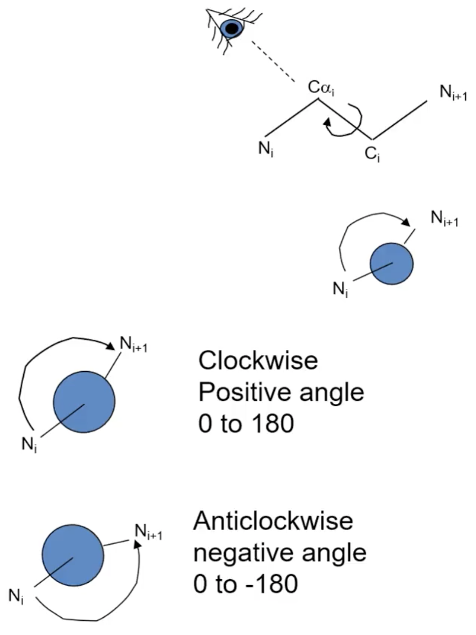 <p>Cα - C, comparing the Ns</p>