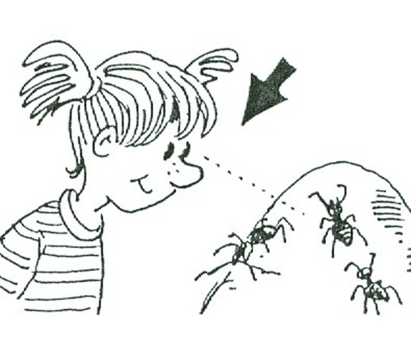 <p>prohlédnout si</p>