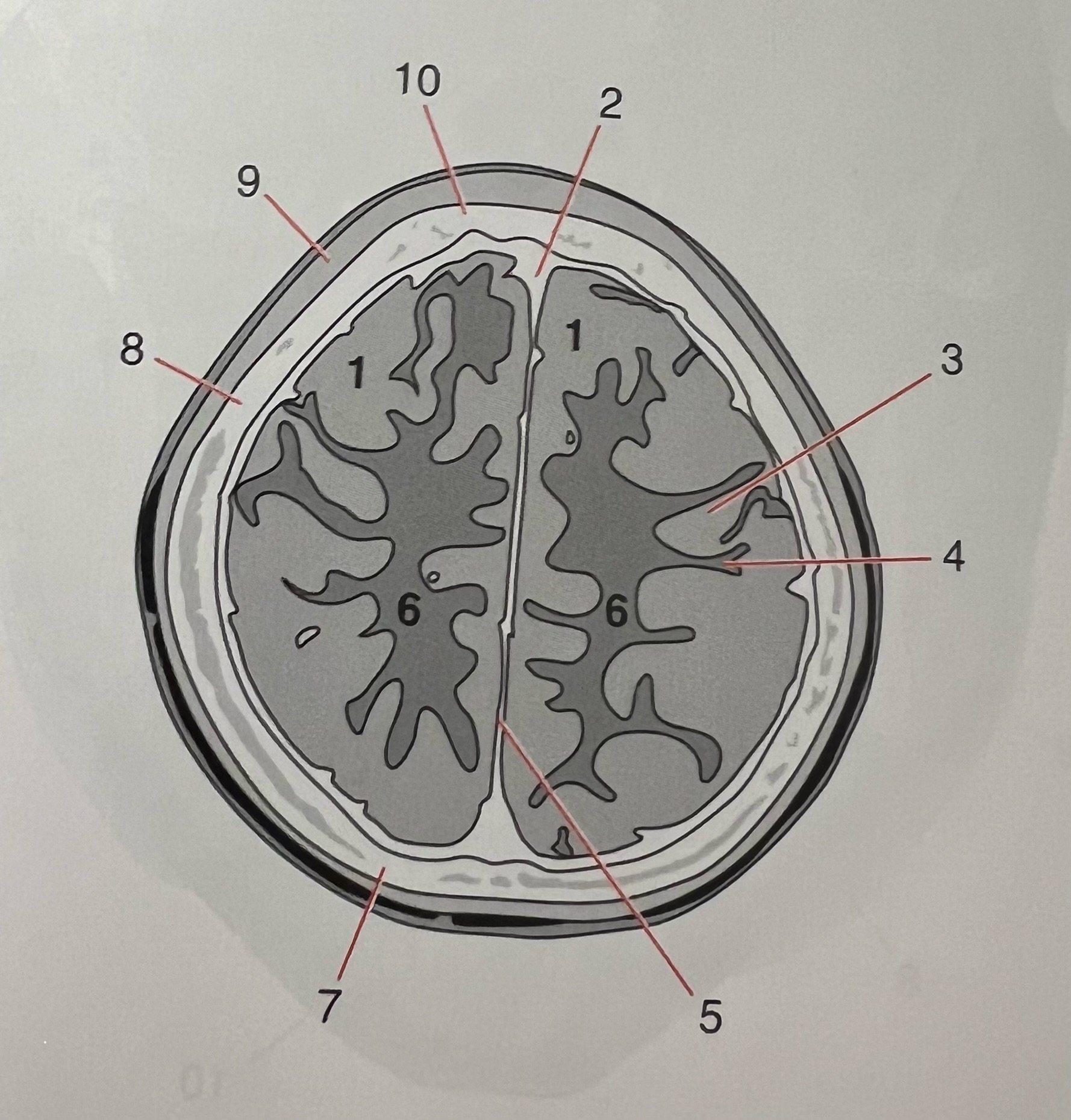 <p>9</p>