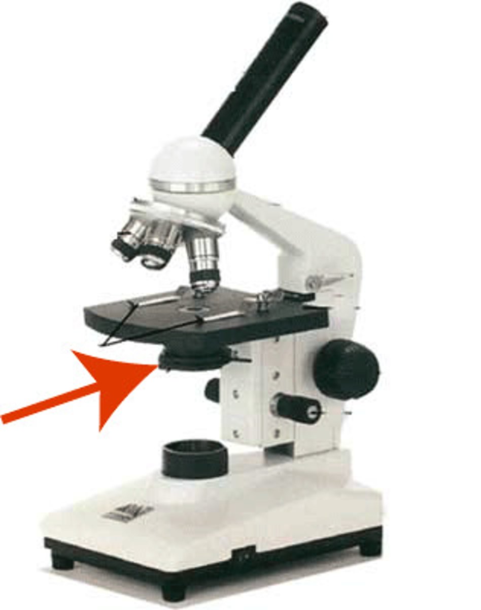 <p>It contains a dial that rotates to adjust the amount of light that reaches the specimen and is passed upwards towards the eyepiece.</p>