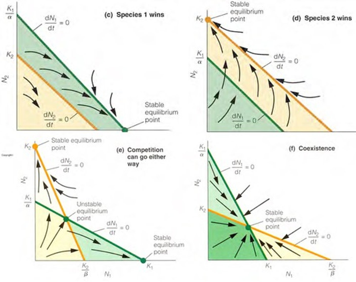 <p>1. Below green line will move towards green line</p><p>- between then species 2 decrease and species 1 increase (exclusion occurs)</p>
