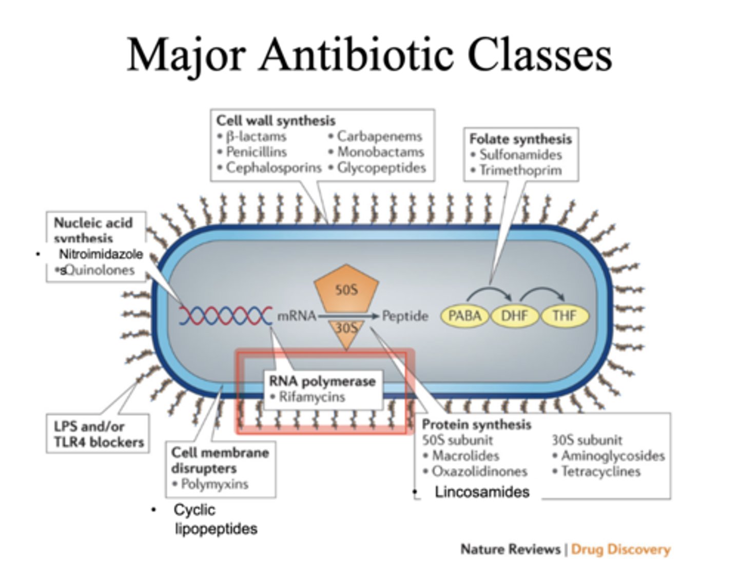 <p>"wont test us on anything after this"</p>