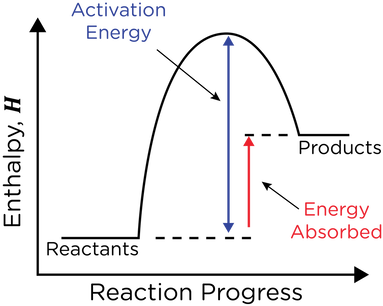 * In an endothermic change, energy is transferred from the surroundings to the system .

  \
* They require an input of heat energy
* Products have more energy than the reactants
* The enthalpy change is positive