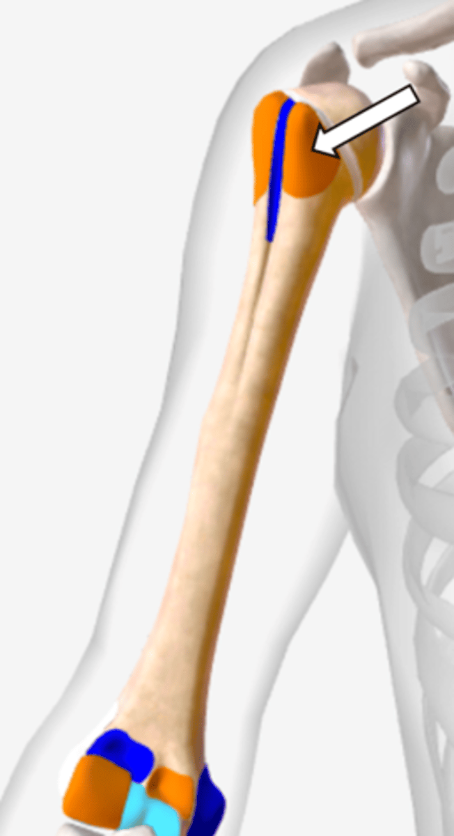 <p>name the part</p>