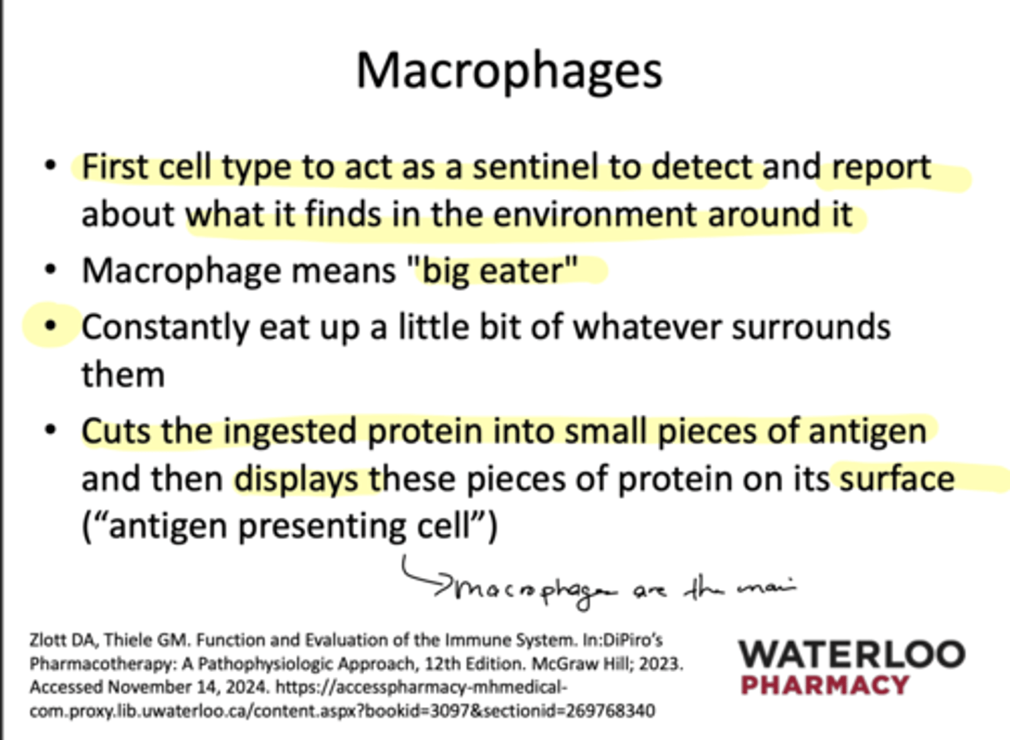 <p>Because we eat whatever is around</p>