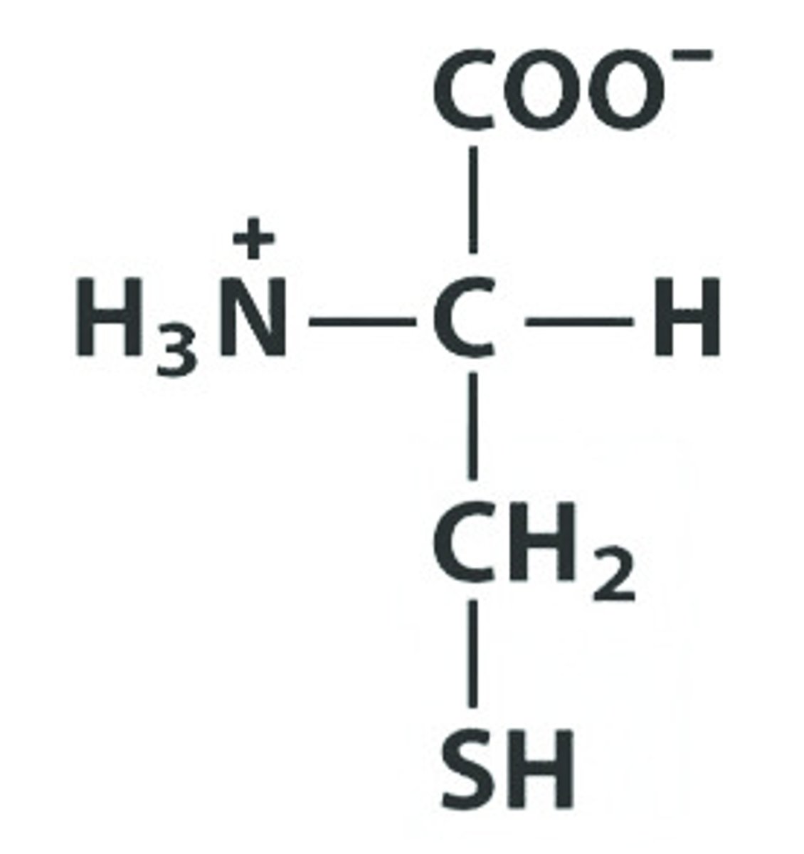 <p>Give the symbol, abbreviation, name of this amino acid, as well as the pKa of its R group (aka side chain)</p>