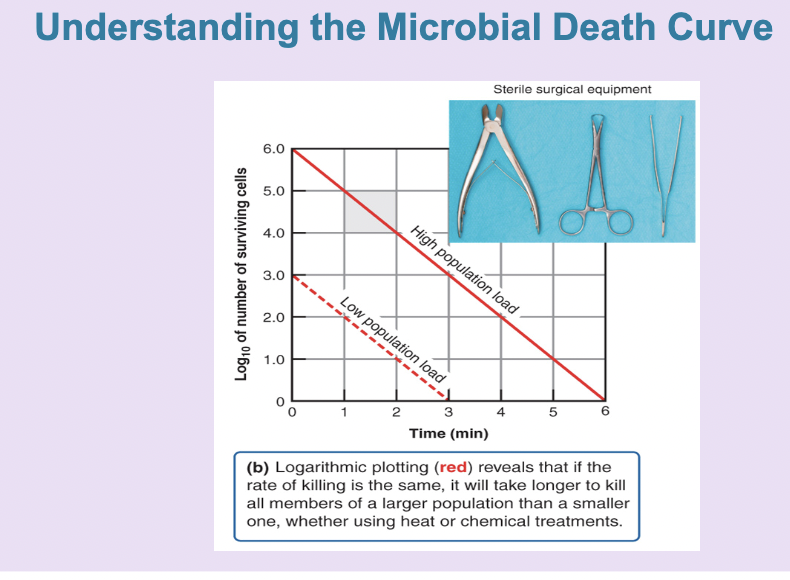 <p>microbial death curve</p>