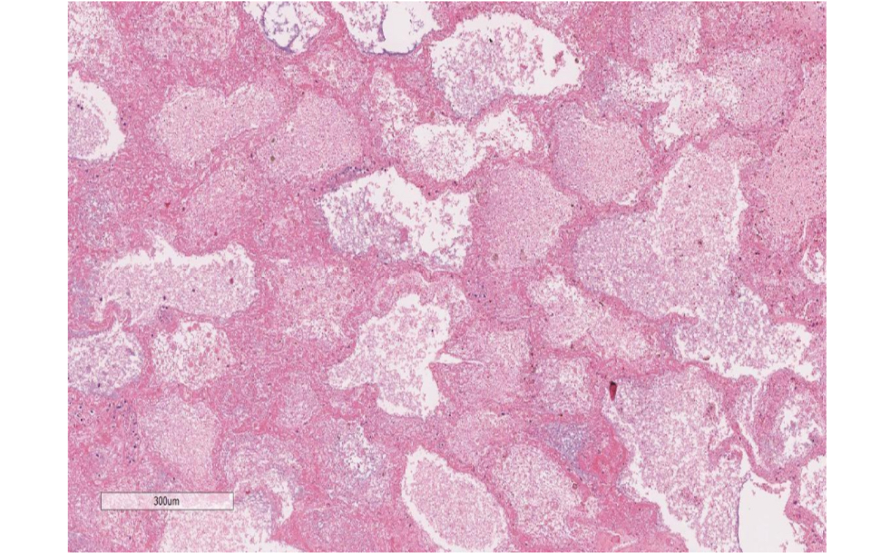 <p>Identify </p>