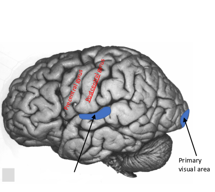<p>what is this area called?</p>