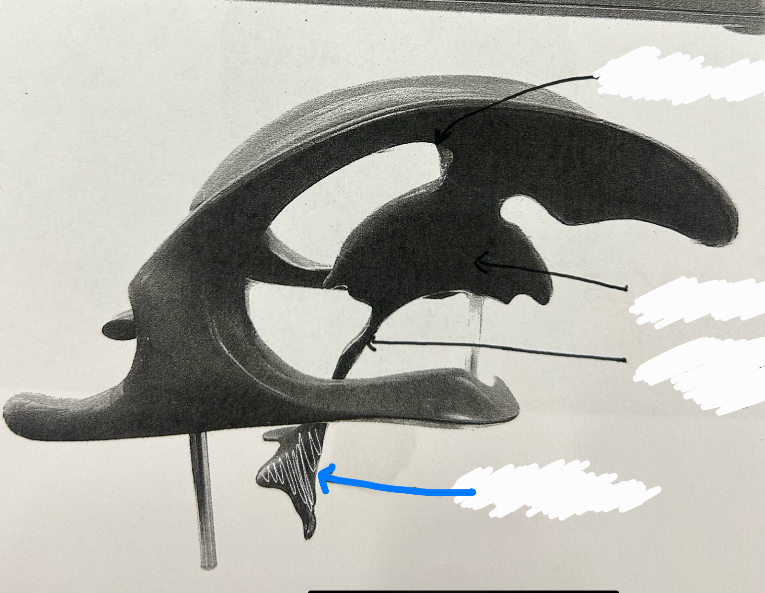 knowt flashcard image