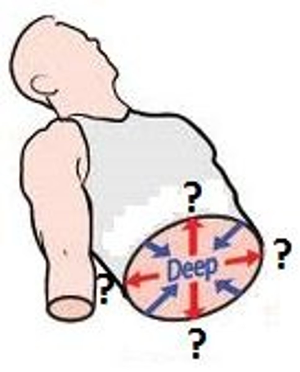 <p>Away from the body surface; more internal</p>