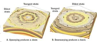 <p>A larger-scale, circular or elliptical anticlinal structure that resembles an upside-down bowl, formed by the rising of continental crust in response to tectonic forces.</p>