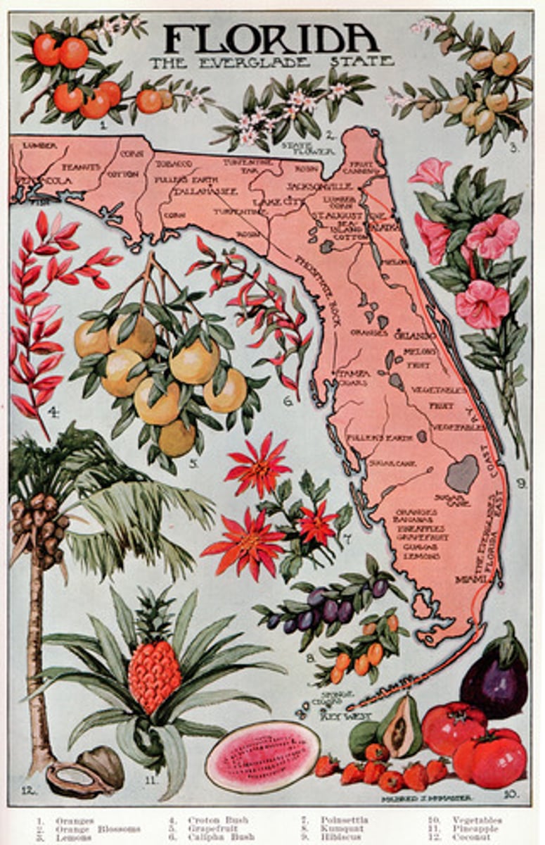 <p>Got Florida from Spain for $5million in exchange for Spain getting territory in Texas</p>