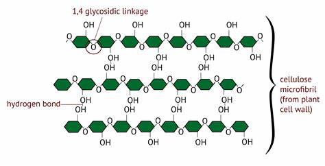 * cellulose chains bonded together through hydrogen bonds 
* they have high tensile strength that allows them to maintain the structure of the plant cell walls