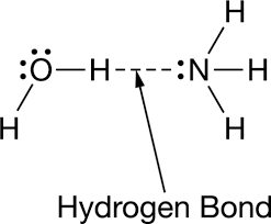 the formation of the hydrogen bond represented in the figure?