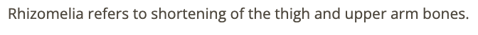 <p>d) femur + humerus</p>