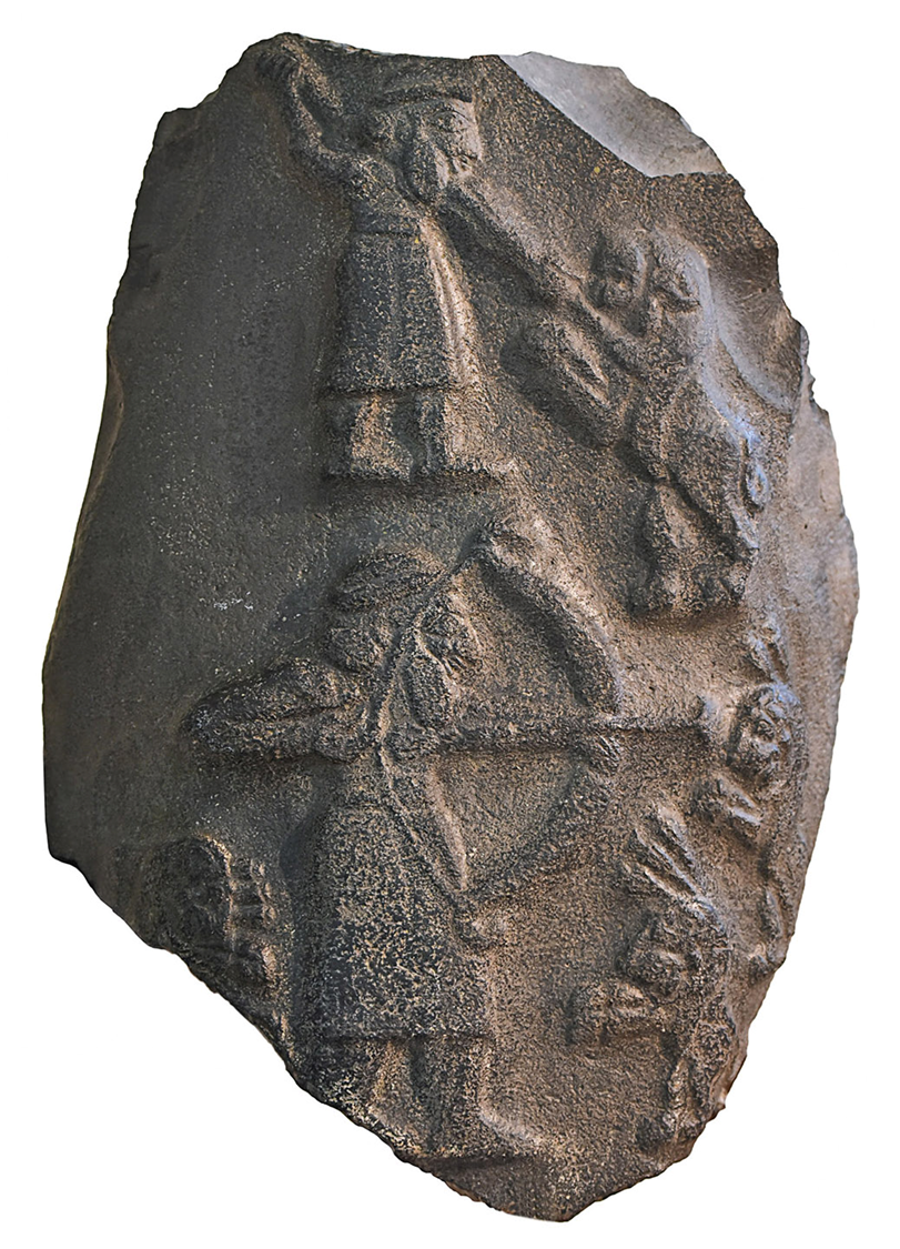 term image