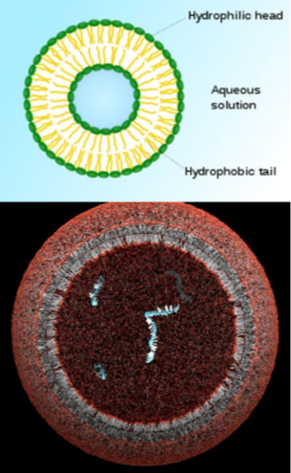 <ul><li><p>A membrane separating the internal environment from the external environment</p></li><li><p>Storage of specific biological molecules</p></li><li><p>Ability to replicate</p></li></ul>