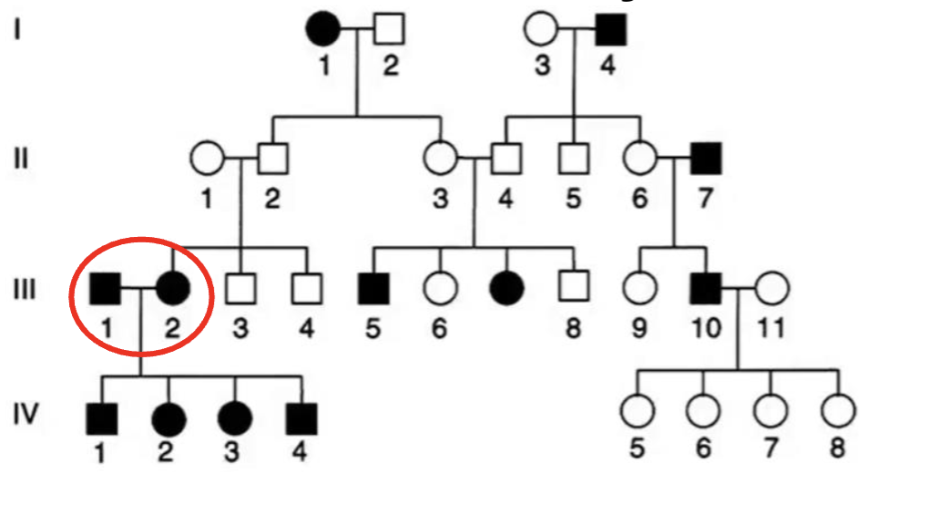 <p><span style="color: blue">By focusing only on the cross between III</span><span style="color: blue"><br></span><span style="color: blue">1+2,you can infer that:</span><span style="color: blue"><br></span><span style="color: blue">A. This trait definitely dominant</span><span style="color: blue"><br></span><span style="color: blue">B. This trait is definitely recessive</span><span style="color: blue"><br></span><span style="color: blue">C. Cannot tell precisely from this</span><span style="color: blue"><br></span><span style="color: blue">cross</span></p>