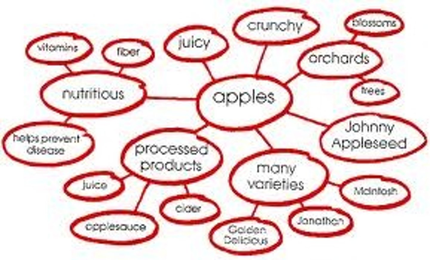 <p>the study of meaning in a language and how people learn to understand what utterances in a language communicate</p>