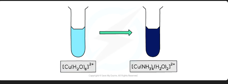 <ul><li><p>$$[Cu(H_{2}O)_{6}]^{2+}{}_{(aq)}+4NH_{3}{}_{(aq)}\rightarrow [Cu(NH_{3})_{4}(H_{2}O)_{2}]^{2+}{}_{(aq)}+4H_{2}O{}_{(l)}$$ </p></li><li><p><span>Pale blue solution forms a </span><strong><span>pale blue precipitate</span></strong><span>, which redissolves to form a </span><strong><span>deep blue solution</span></strong><span>.</span></p></li></ul><p></p>