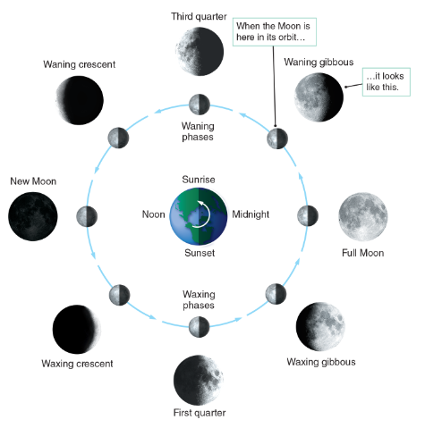 <p>First Quarter Moon</p>