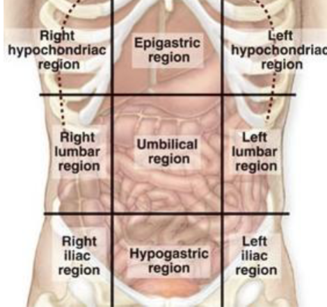 knowt flashcard image