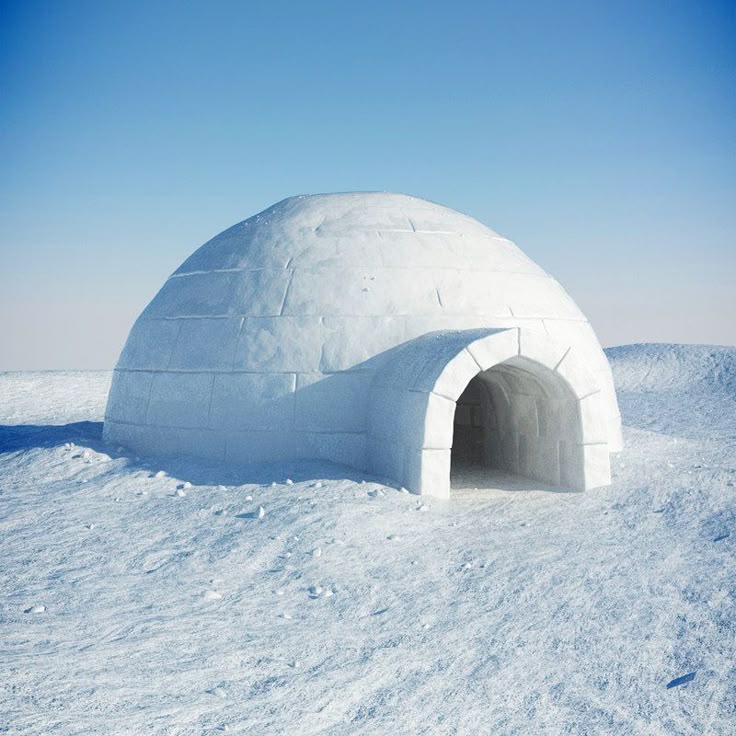 <p>Igloo</p>