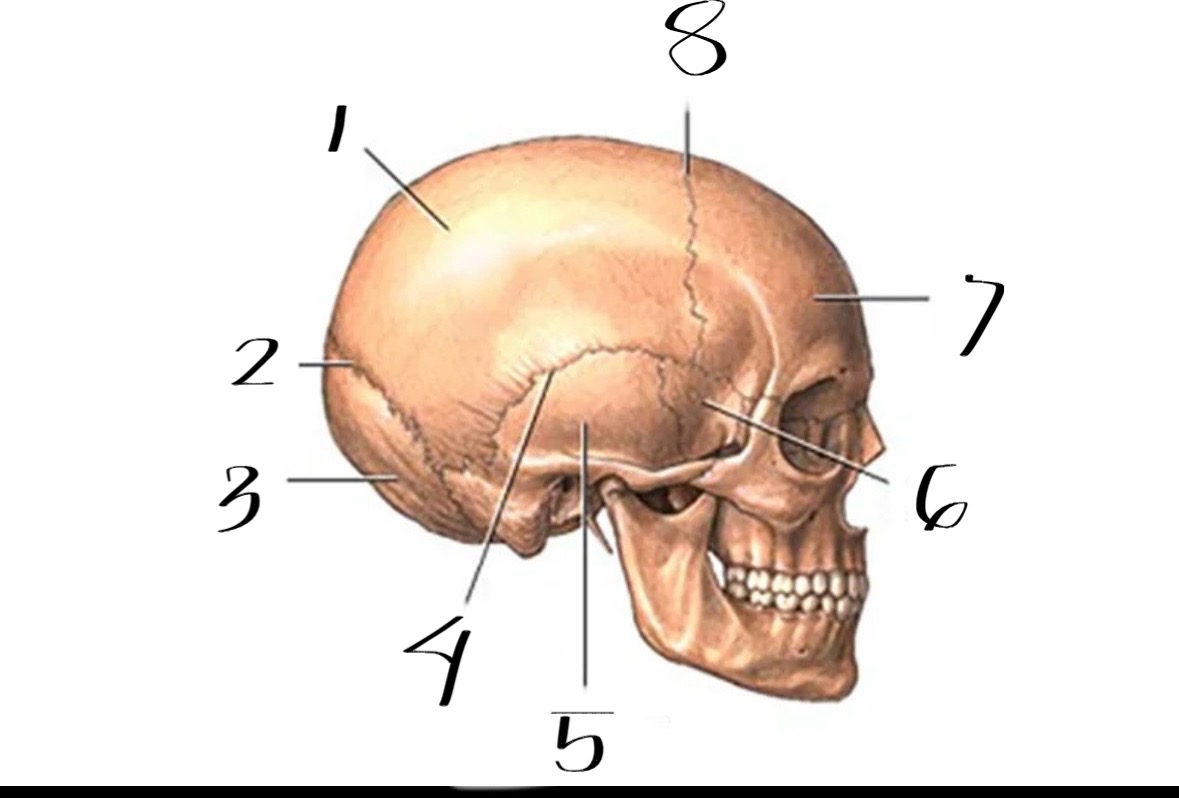 <p>What is #8</p>