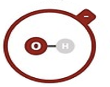 <p>Hydroxide</p>