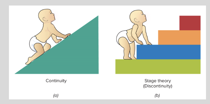 <p>a) whether it proceeds continuously, as learning theorists and information-processing theorists propose, </p><p>or</p><p>(b) whether development occurs in distinct stages, as Freud, Erikson, and Piaget maintained.</p>