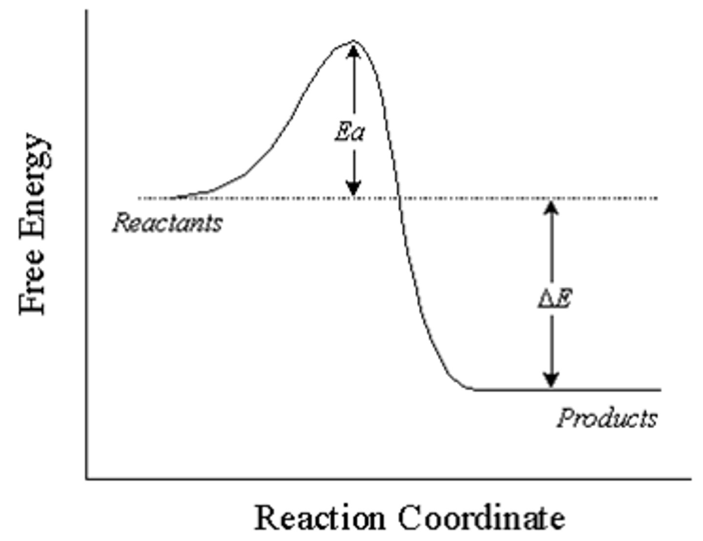 <p>total energy released is greater than the activation energy for the reaction</p><p>-energy released by initial exothermic reaction is used to provide activation energy for other particles to react</p><p>-once exothermic reaction begins, it will continue until one of the reactants is used up or some other change occurs</p>