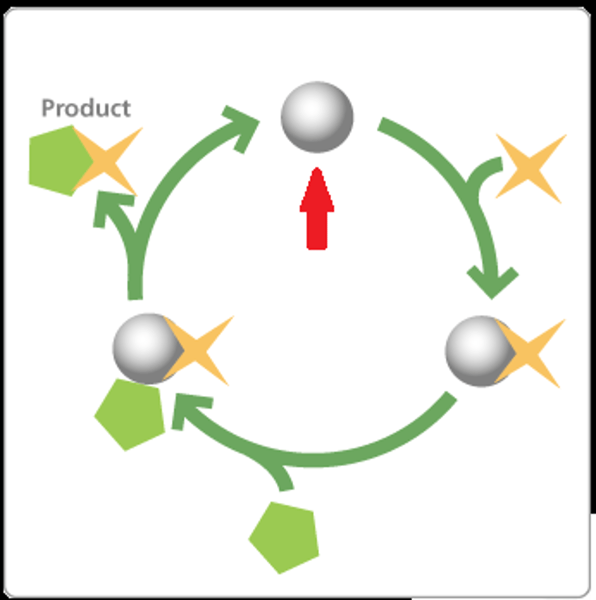 <p>Substance that speeds up the rate of a chemical reaction</p>