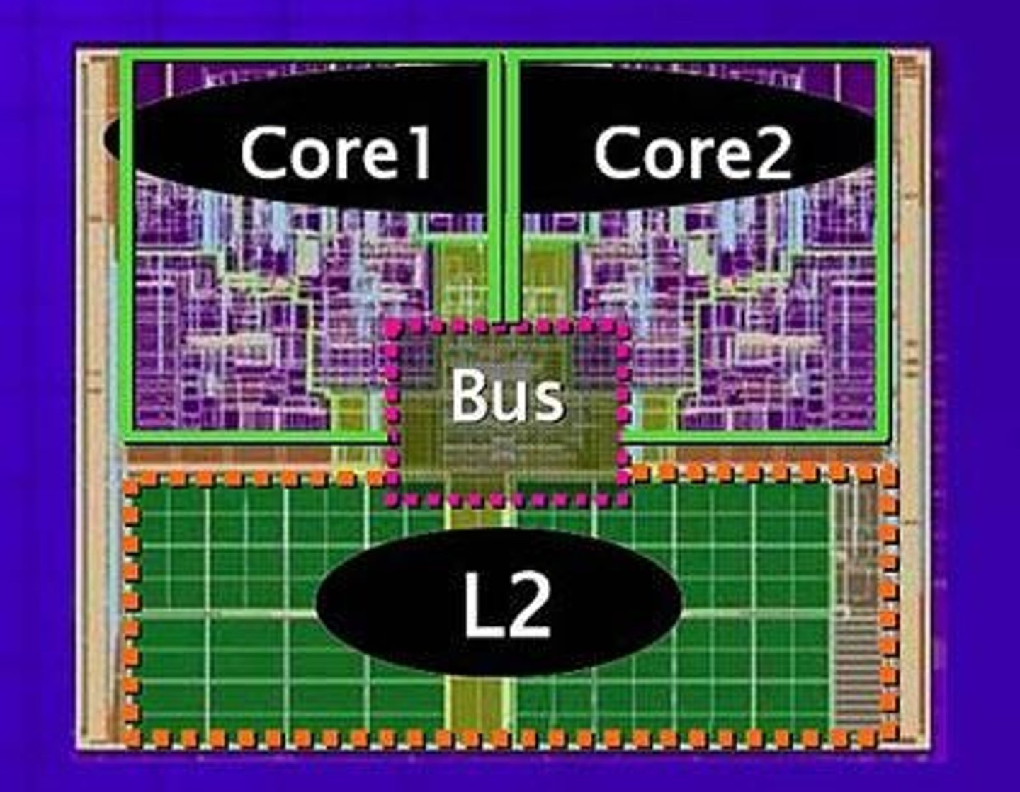 <p>A processor that has two or more complete processors on a single chip, enhancing computing power.</p>