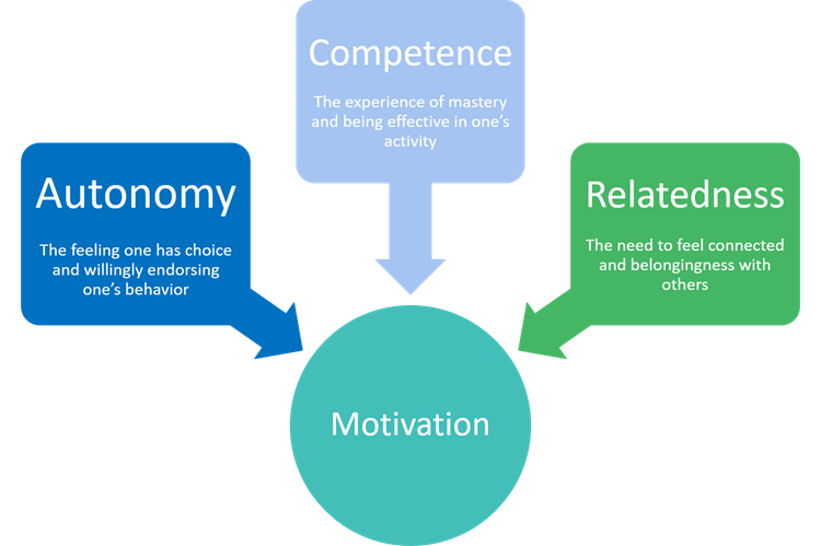 <p>Theory that suggests that all humans have three basic psychological needs</p>