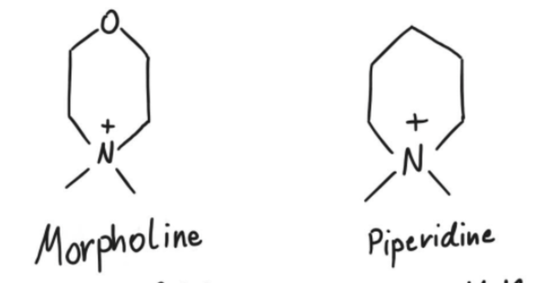 <p>Shown at right are piperidine  and morpholine. Which will have the higher <em>Ka</em>. Explain your answer.</p>