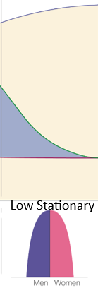 <p>Low stationary</p><p>Birth rate - low</p><p>Death rate - low</p><p>Natural increase - steady</p>