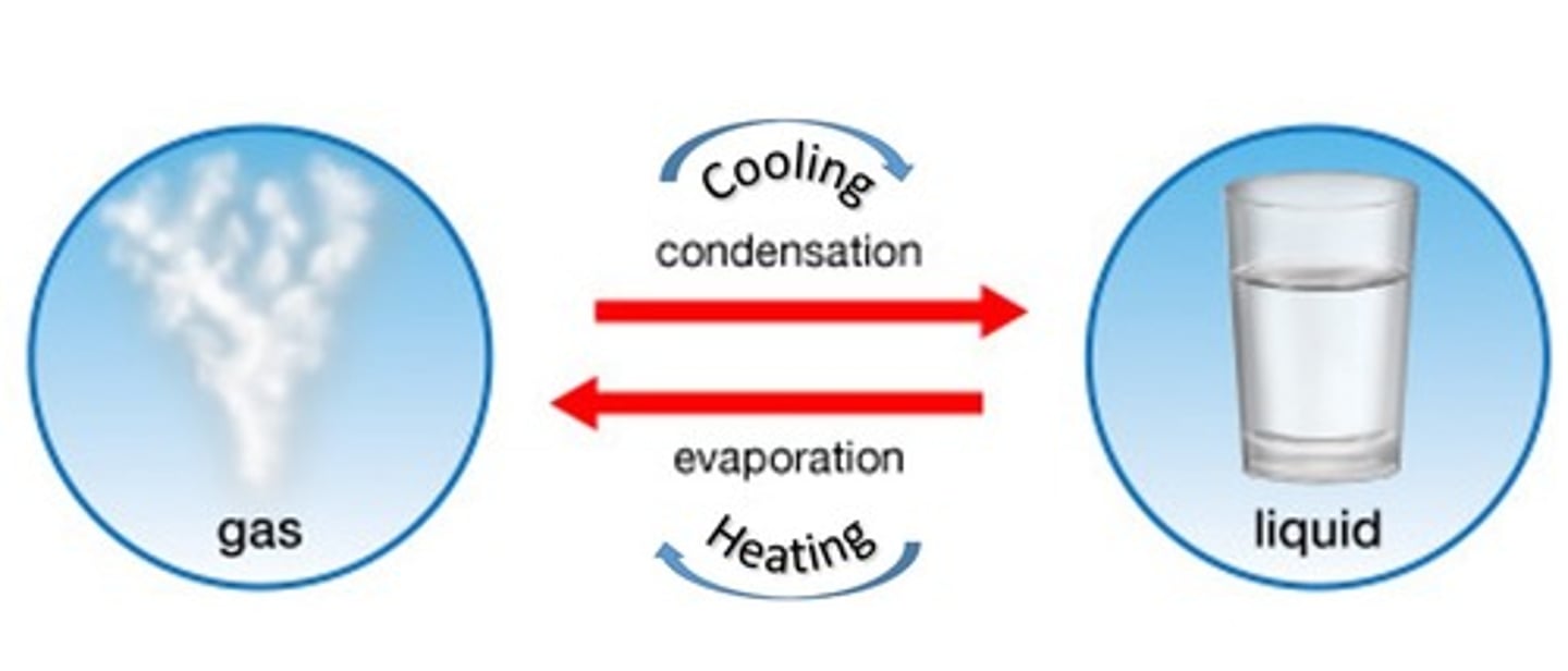<p>A physical change from a gas to a liquid at cooler temperatures (the opposite of evaporation).</p>
