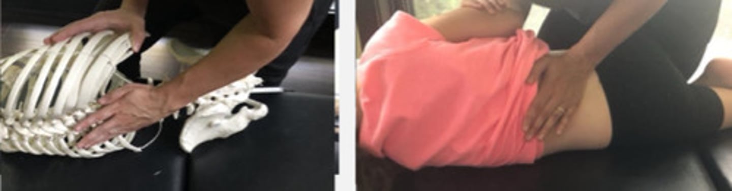 <p>PP: Basic side posture with the dysfunctional side down (since spinous has deviated to R) - verbalize how you found the segment</p><p>DP: Modified fencer stance on side opposite dysfunction</p><p>CH: Caudal (L) hand hypothenar on L3 SP with fingers crossing the spine</p><p>IH: Cephalic (R) hand slight upward (downward for lateral flexion) traction holding the pt's up-side shoulder or overlapping hand</p><p>LOD: CH: P-A, L-M</p>