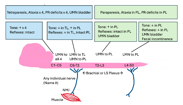 <p>just read this one good time</p>