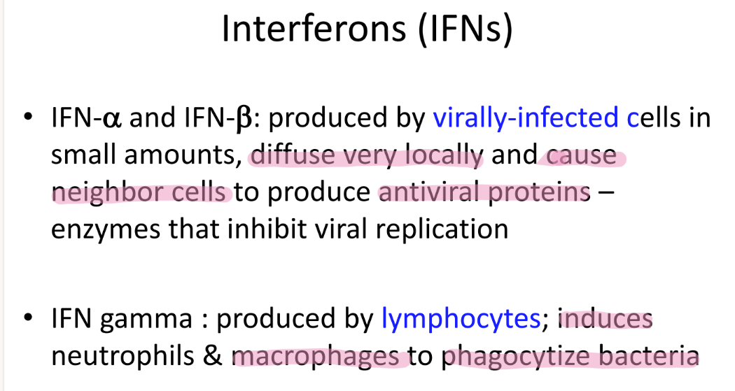 <p>proteins SECRETED by viruses (albeit only a bit) </p><p>that alert nearby cells to make ANTIVIRAL pro’s to inhibit viral rep </p>