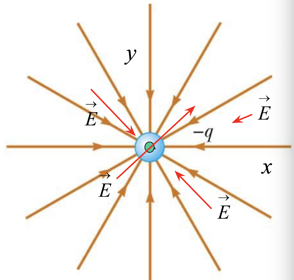 <p>For electric field lines, we end at _____ charges or infinity.</p>