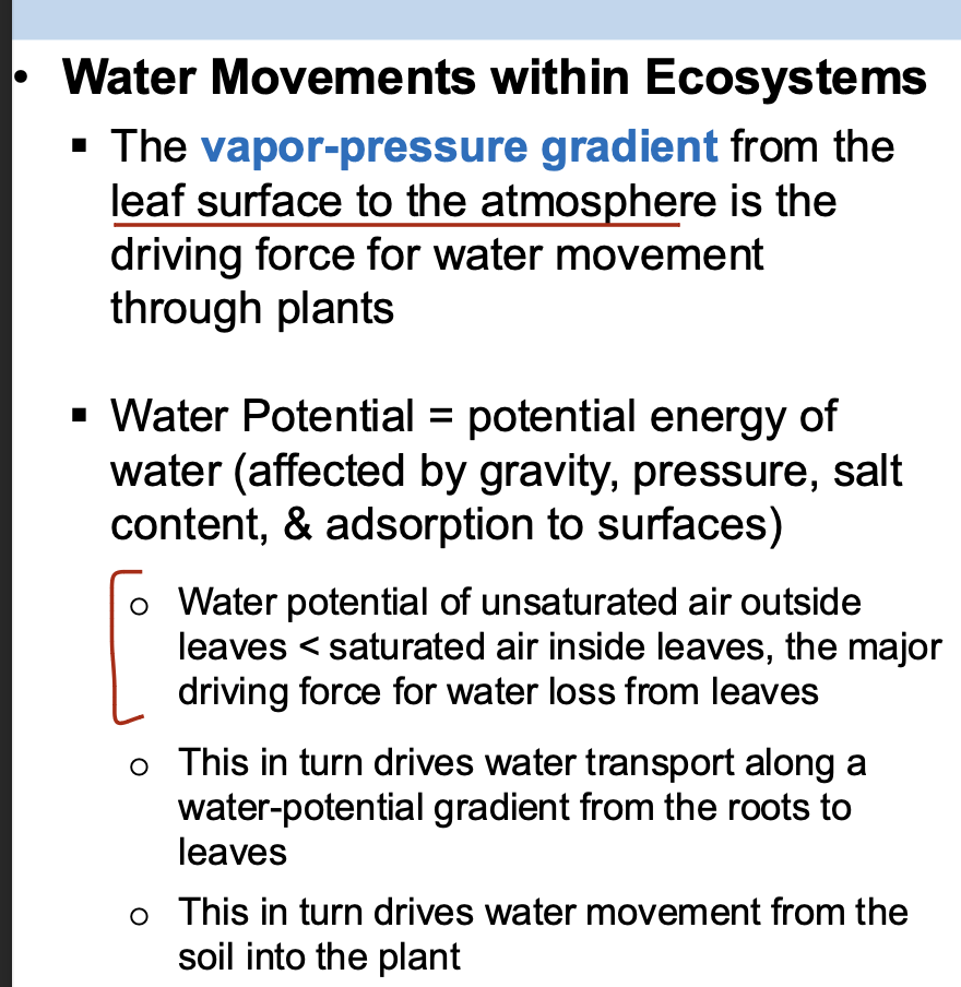 <p>A. The water potential of unsaturated air outside leaves is lower than that of saturated air inside leaves, which drives transpiration and water movement through the plant.</p>