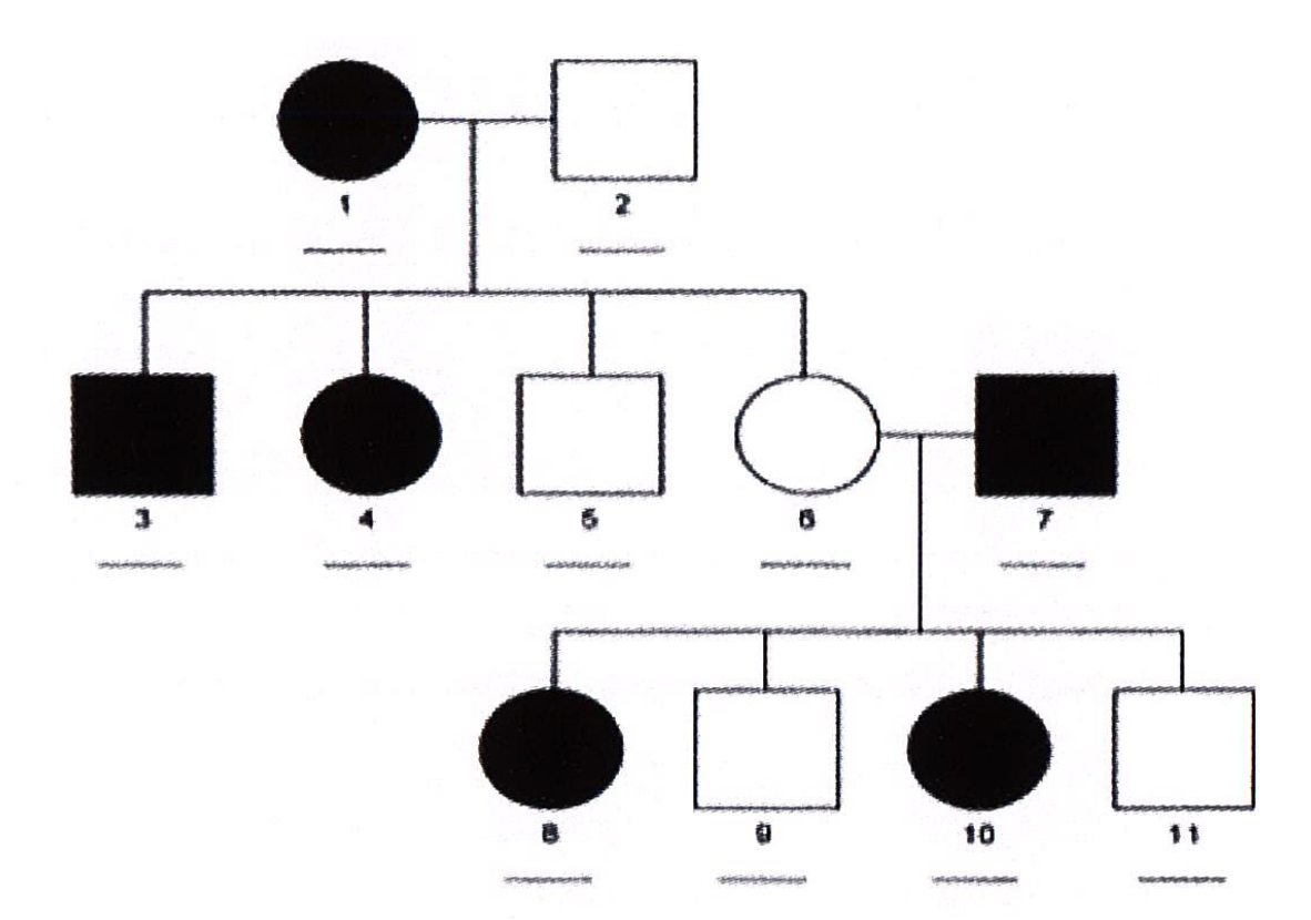<p>Xác định kiểu di truyền trong cây phả hệ sau:</p>
