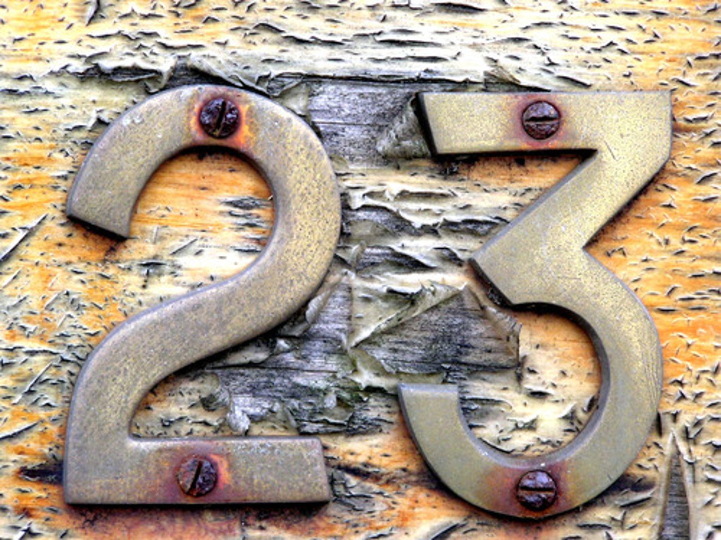 <p>twenty three</p>