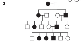 <p>What is pedigree #3 ?</p>