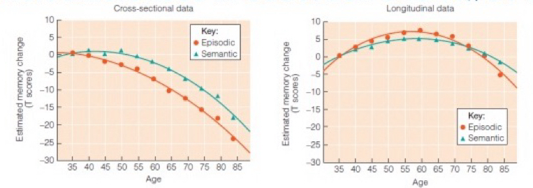 <p>Biological and genetic factors + environmental and situational factors.</p><ol><li><p>Characteristics of the learner </p></li><li><p>Characteristics of the task or situation</p></li><li><p>Characteristics of the broader environment, including cultural context.</p></li></ol><p>Cohort differences in education and IQ as well as health and lifestyle.</p><p>In familiar context often high performance, but not laboratory.</p>