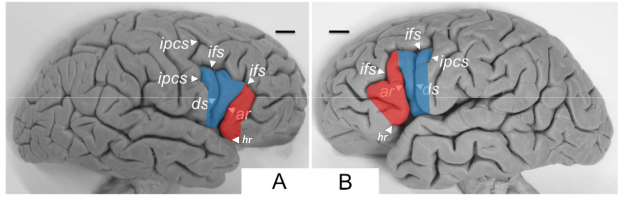 <p>What is ipcs?</p>