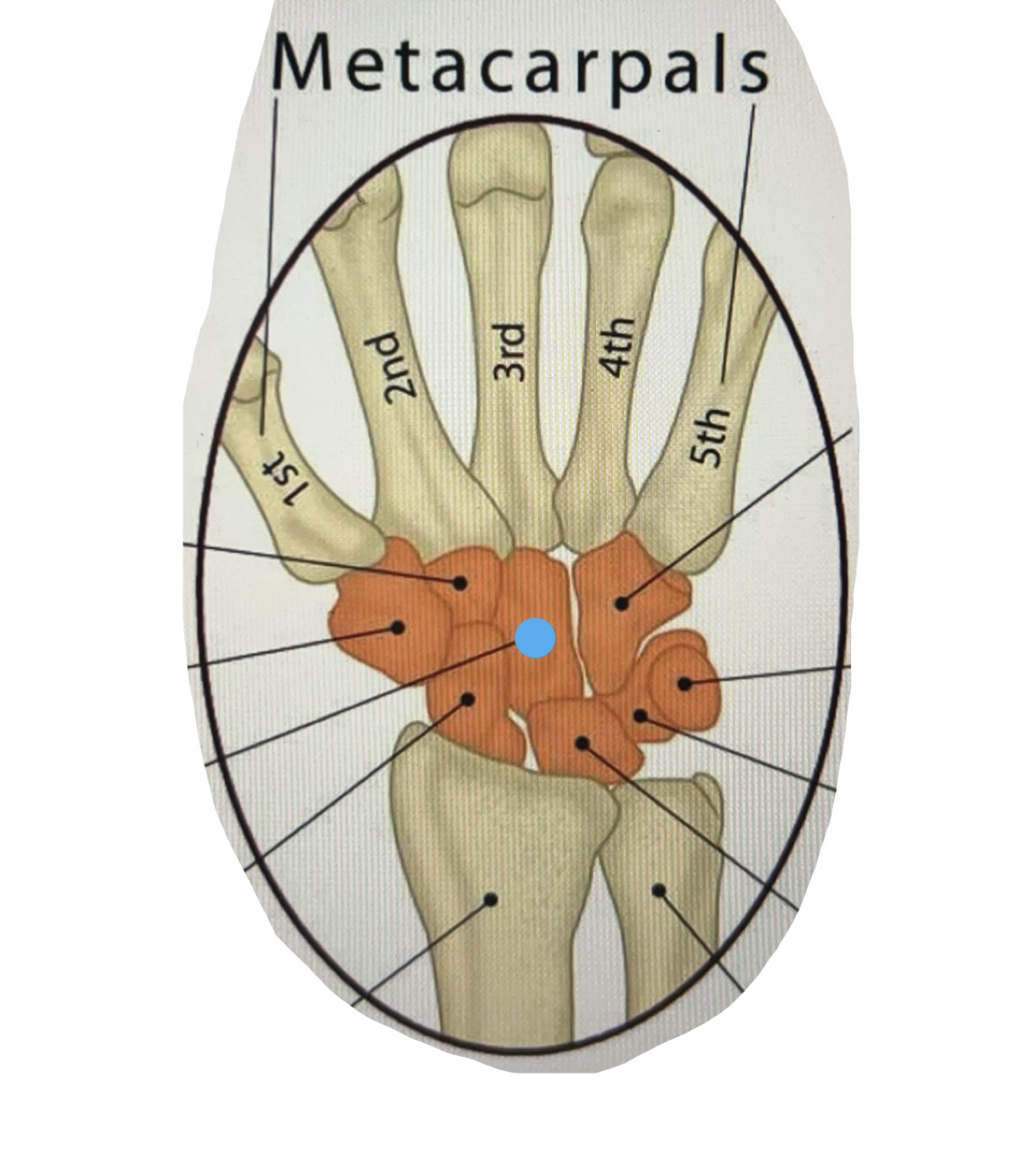 term image
